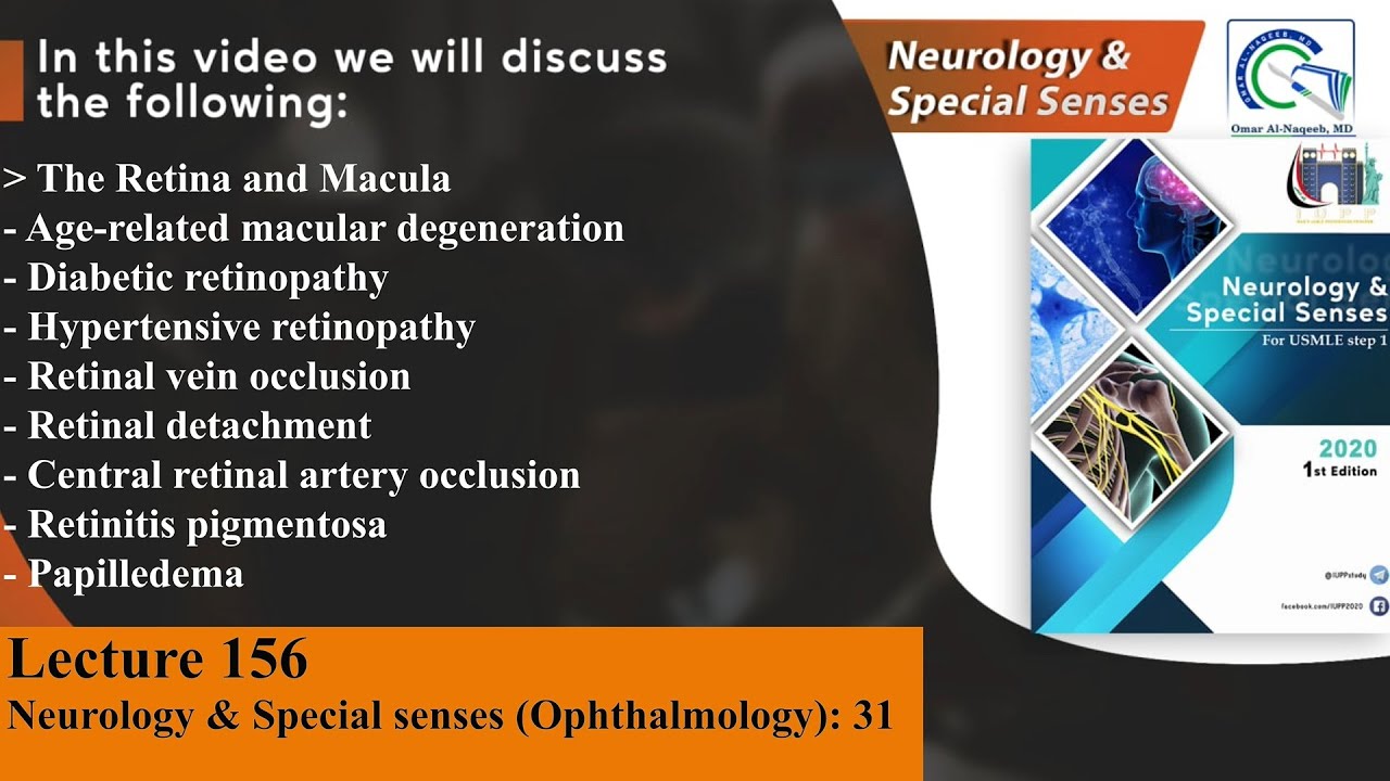 Age-related macular degeneration | Diabetic retinopathy | Hypertensive retinopathy | Papilledema