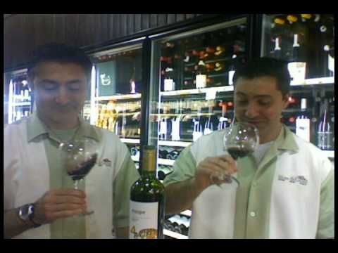 Hops and Grapes Video Newsletter - Maipe Cabernet Sauvignon 2006 - April 17, 2009
