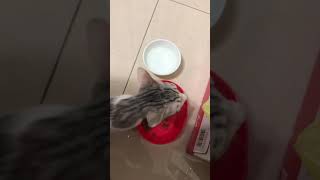 [問題] 這是什麼聲音