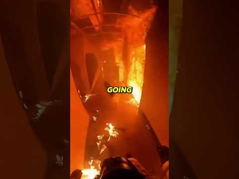 Dog Leads Firefighter In A Burning House To Save Puppies!