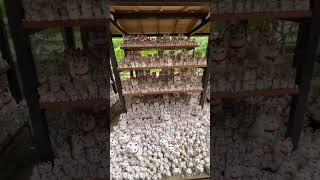 🇯🇵 Travelogue- Gotoku-ji #japan #tokyo #cat #cute #jinja