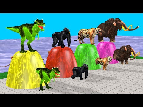 Animals Running Game Through Obstacles And Fans