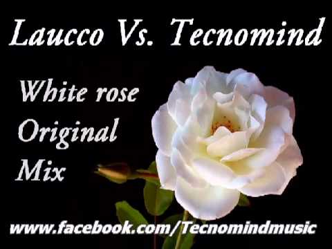 Laucco Vs. Tecnomind - White rose (Original Mix)