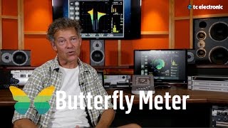 TC Electronic - Butterfly Meter: Pre &amp; Post Loudness Processing Meter