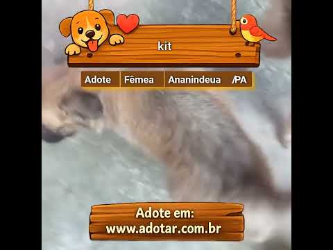Vídeo de kit