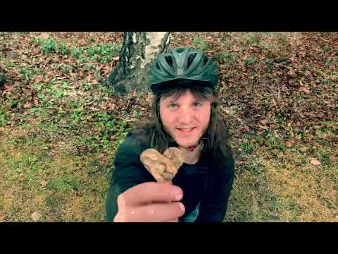 Skandal um Resi - Weihnachtsvideo 2019