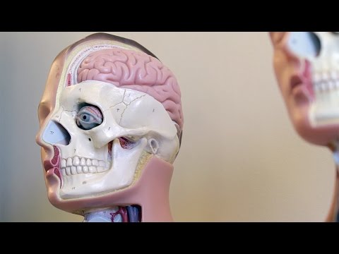 Medical School Preparation - Oxford Royale Summer School