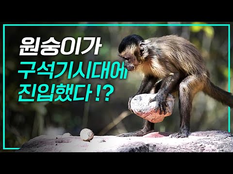 아이콘