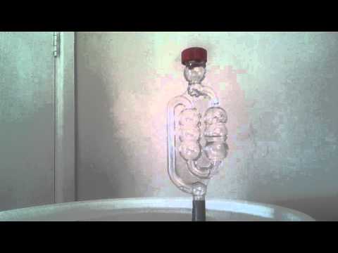 Coopers Euro Lager, 24 Hour Air Lock results