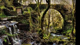 ESTATIC FEAR ODE TO SOLITUDE (SUBTITULOS-ESPAÑOL)