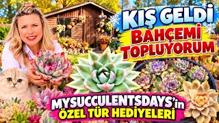 BAHÇEYİ TOPLUYORUM👑MYSUCCULENTSDAYS’in HEDİYE ÇOK ÖZEL TÜRLERİ #keşfet 