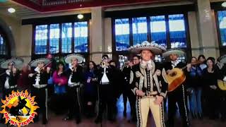 Alex fernandez Lo Primero Que Haria! Mariachi Sol De Mi Tierra NYC