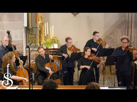 J. F. Fasch | Concerto in D major - FaWV L:D15