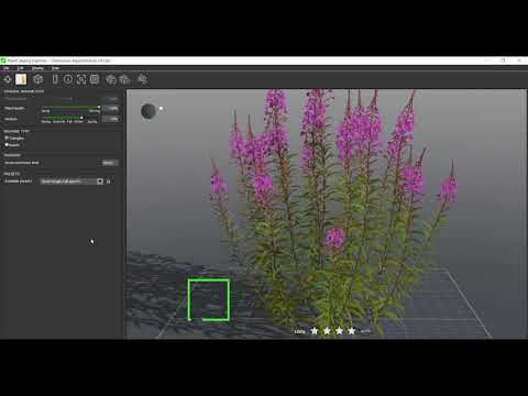 Watch the YouTube video of Fireweed
