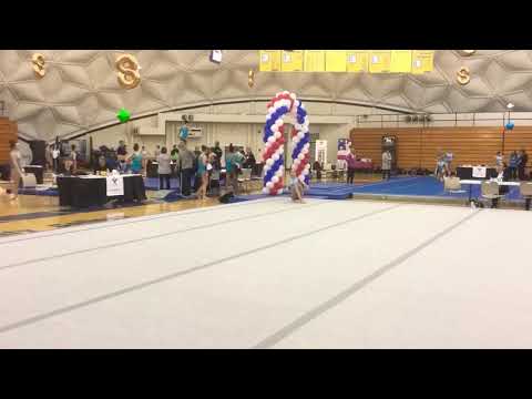 2017 Level 8 Regional Floor Routine