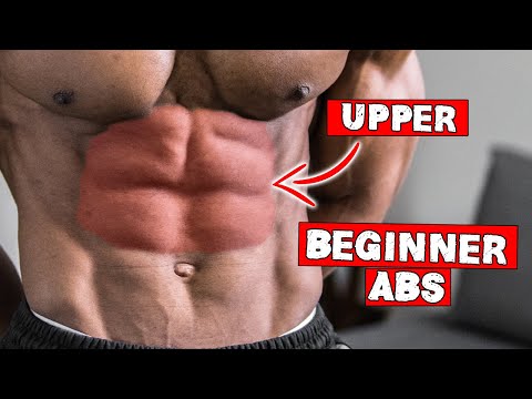 10 MINUTE BEGINNER UPPER ABS WORKOUT AT HOME (NO EQUIPMENT) | LEVEL 1