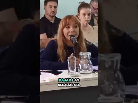 POSICIONAMIENTO DE COMUNIDAD ORGANIZADA FRENTE AL POROYECTO DE 25 DE MAYO. Area: El Medanito.