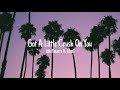 Wildflowers Ft Emmi Got A Little Crush On You Lyrics