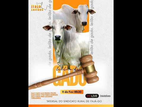 LEILAO DE GADO DA ITAJÁ LEILÔES