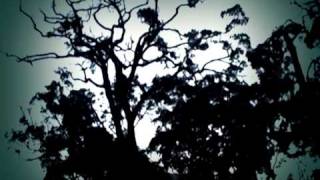 Hammock - God send us signal