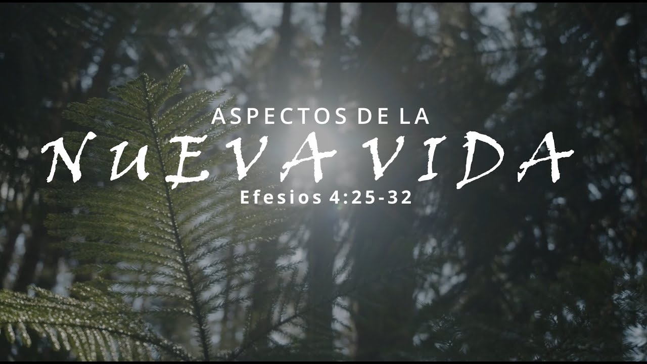Aspectos de la Nueva Vida - Efesios 4: 25-32