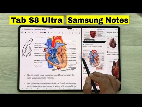 Note Taking on Samsung Tab S8 Ultra Using Samsung Notes - Top 24 Tips and Tricks