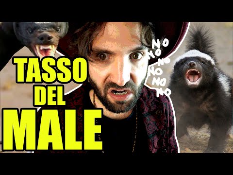 Il tasso del MALE - SCIENZA BRUTTA