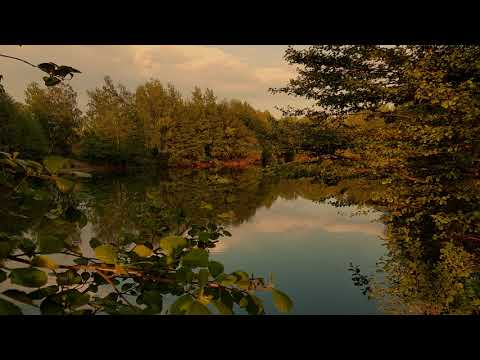 Gerard Drozd - Pregunta Retórica op. 206 performed by Miloš Janjić