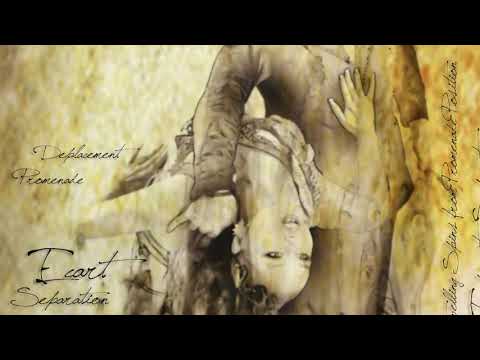 IDBDC Vendor - Stephen Marino Photography