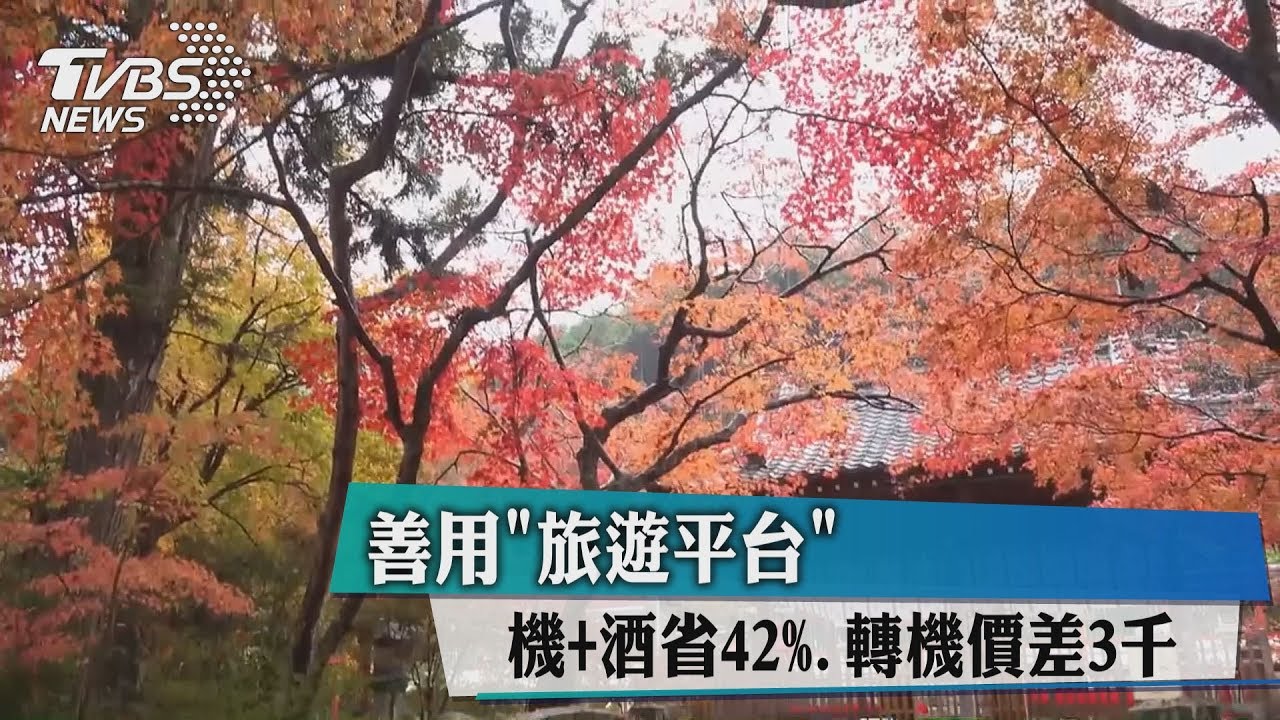 善用「旅遊平台」機+酒省42% 轉機價差3千