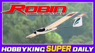 H-King Robin 1165mm Glider (45.8