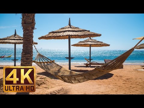 Journey to Egypt - 4K Nature Documentary Film- Trailer