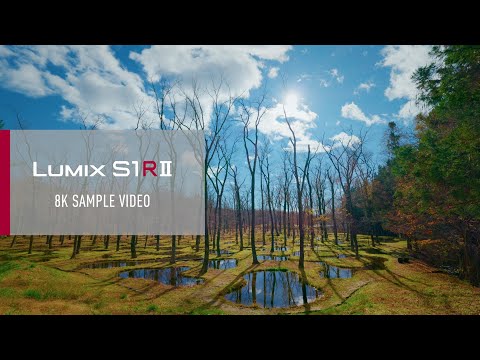 LUMIX S1RII | 8K Sample Video