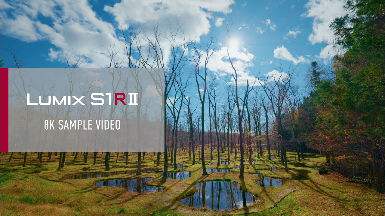 LUMIX S1RII | 8K Sample Video - YouTube