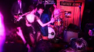 Tav Falco & The Unapproachable Panther Burns - live @ La Java (Paris, 2012)