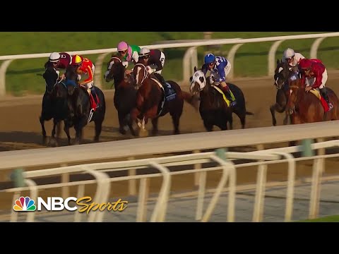 2023/11/5(日) ブリーダーズカップスプリント(G1)