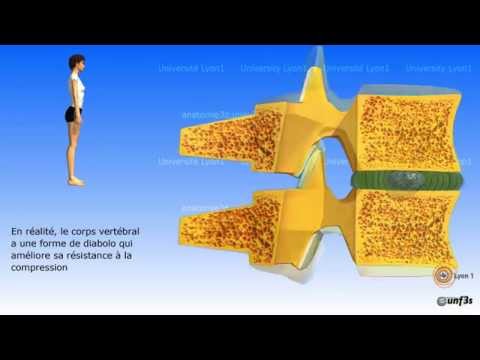 comment soulager l'arthrose de la colonne vertébrale