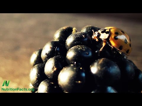 Treating Parkinson s Disease with Diet