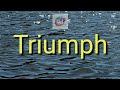 Triumph Opposite/Antonym Word with Meaning//Googul Dictionary//