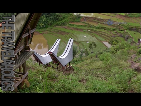 O segundo dia do Toraja Trekking Sulawesi Indonésia 🇮🇩