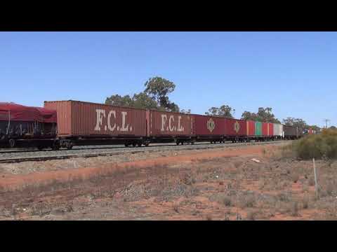 3AB6 with Nr 69 Solo Euabalong West 6.11.2019