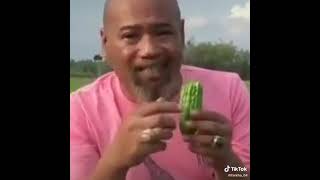 Download lagu pak ndul ahliny para ahli makan pare mp3 Download lagu pak ndul ahliny para ahli makan pare mp3