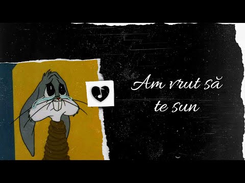 Dibaci - Am vrut să te sun | Lyrics Video