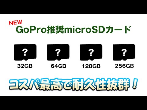 MAX Performance microSDXCカード 128GB for GoPro【GoPro適合microSD