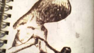 Karl S. Williams - Long Black Hair