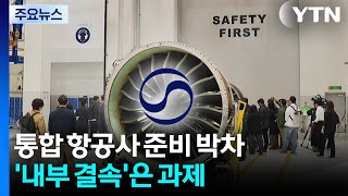 대한항공 통합준비 박차...내부 결속·수익성 방어는 과제 / YTN