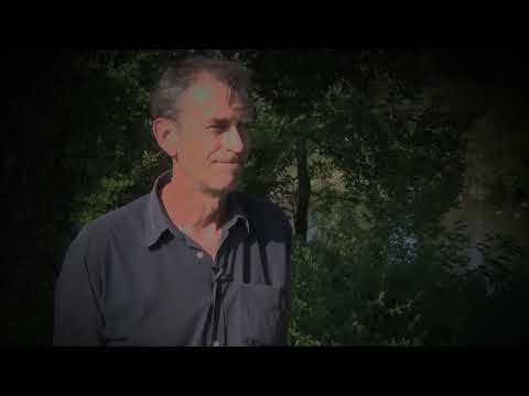 Da nije bilo nacionalizma...