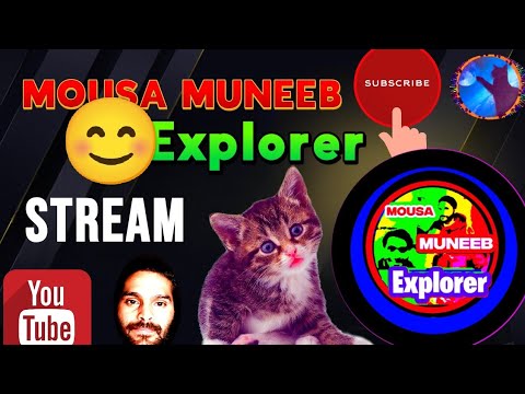 MOUSA MUNEEB Explorer With Cats #cats #cat #youtube