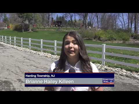 Harding Fire Investigation