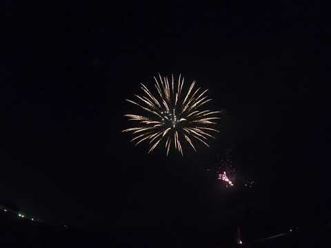 4'' Brocade crown with white strobe pistil